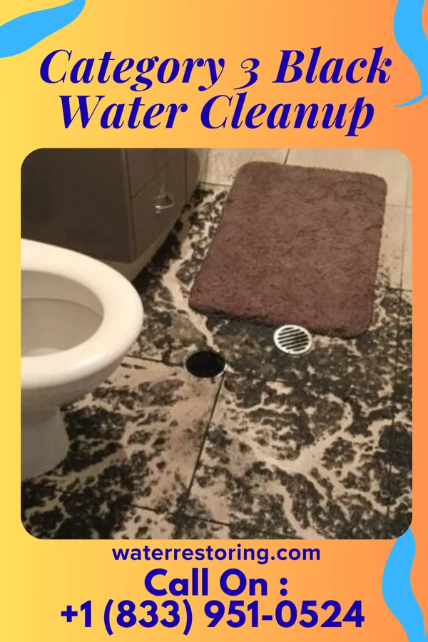 Category 3 Black Water Cleanup in Lake Buckhorn, OH