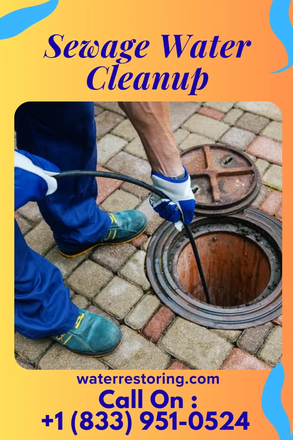 Sewage Water Cleanup in Lake Buckhorn, OH